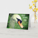 Recherche de regal anniversaire cartes Animal