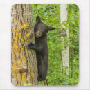 Search for bear mousepads Cathy