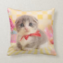 Search for cat sitting pillows Baby animals