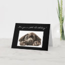 Search for funny 39th birthday cards Over the hill