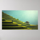 Search for rice paper art Beautiful