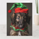 Search for afghan hound christmas cards Puppy
