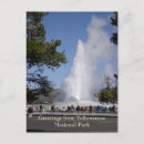 Recherche de yellowstone cartes postales Old faiful