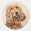 Search for english cocker spaniel stickers Pet