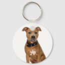 Search for american pit keychains Dog