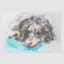 Search for dachshund tissue paper Animal