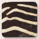 Recherche de peaux dessous de verres Animaux
