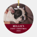 Search for 2 sided photo ornaments Dog