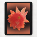 Search for greenhouse electronics Floral