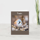 Search for bird watcher birthday cards Photography