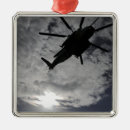 Search for low angle view ornaments Flight