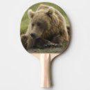 Recherche de prédation Grizzly côtier