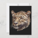 Search for yellow cat postcards Animal