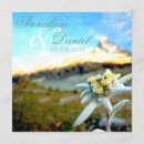Search for alps invitations Flower