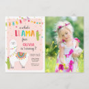Recherche de lamas invitations Fête du llama