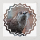 Recherche de loutre invitations Animal