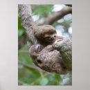 Search for sloth art Tree