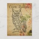 Search for owl cards invites Floral