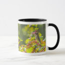 Search for selective focus mugs Close