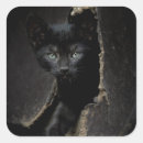 Search for little black cat stickers Cute