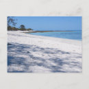 Search for diving horizontal postcards Reef