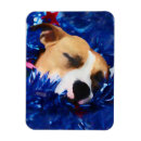 Recherche de pitié magnets Chiot