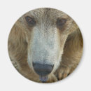 Search for lick photography Animal