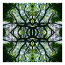 Recherche de kaléidoscope posters Vert