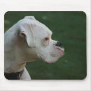 Recherche de chien boxeur tapis souris Animal familier