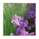 Search for grass tiles Garden