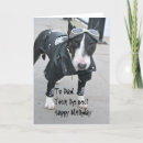 Search for goggles cards Animal