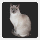 Search for point stickers Animals