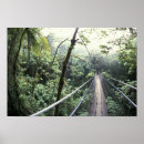 Search for costa rica rainforest posters Adventure