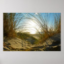 Search for meer Strand