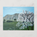 Recherche de amandier cartes postales Amandier en fleurs