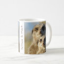 Search for meercat Cute animals