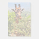 Recherche de safari post its Nature