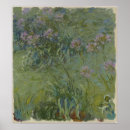Recherche de agapanthus posters Nature