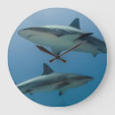 Search for caribbean clocks Ocean