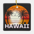 Search for hawaii ornaments United states