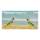 Recherche de surf posters Plage
