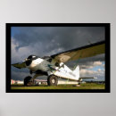 Recherche de castor Avion