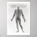 Recherche de andreas vesalius posters Conditions