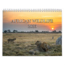 Search for african calendars Wildlife