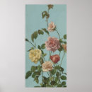 Search for tea rose posters Roses