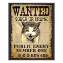 Search for cool cat posters Humor