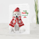 Recherche de spitz vœux cartes Amoureux des chiens