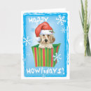 Search for english setter cards Laverack