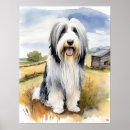 Search for bearded collie art Canine