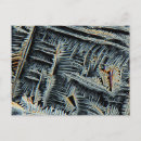 Search for dendrites Dendritic